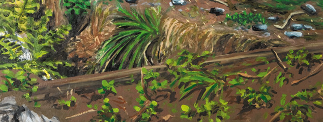 008paraisoMinia